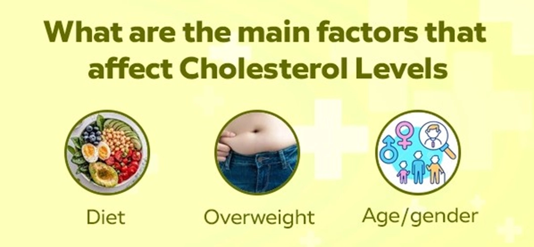 High Cholesterol Can Affect Your Whole Body: How Functional Medicine and Diet Play an Important Role